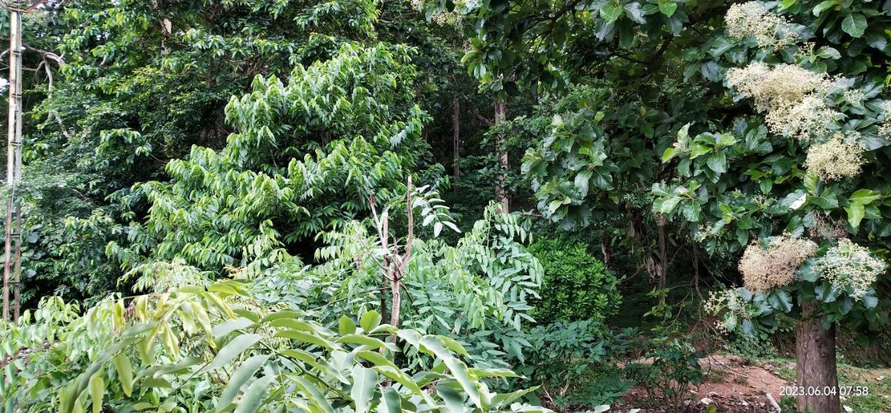 Floral Homestay Thekkady Zewnętrze zdjęcie