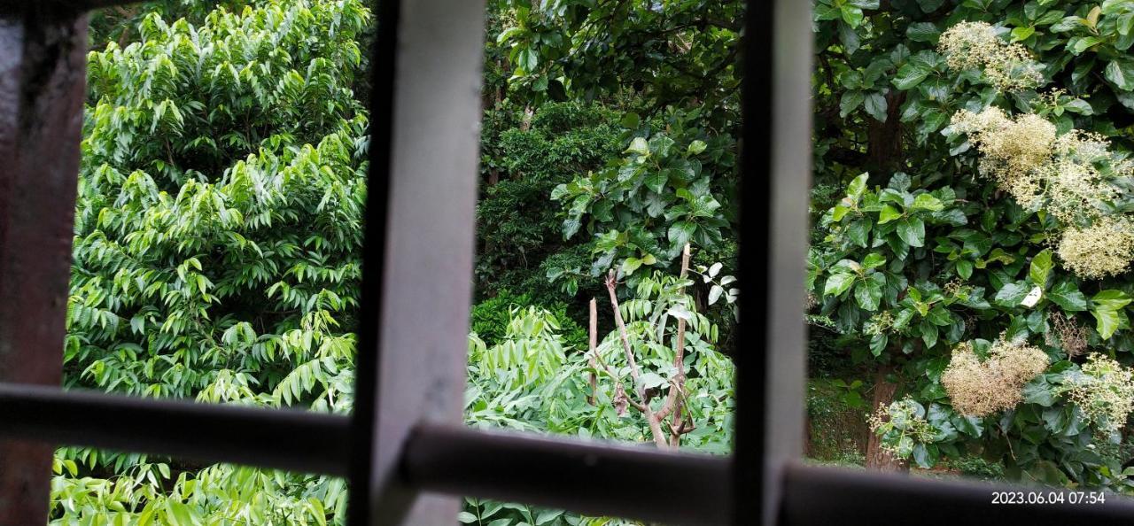 Floral Homestay Thekkady Zewnętrze zdjęcie