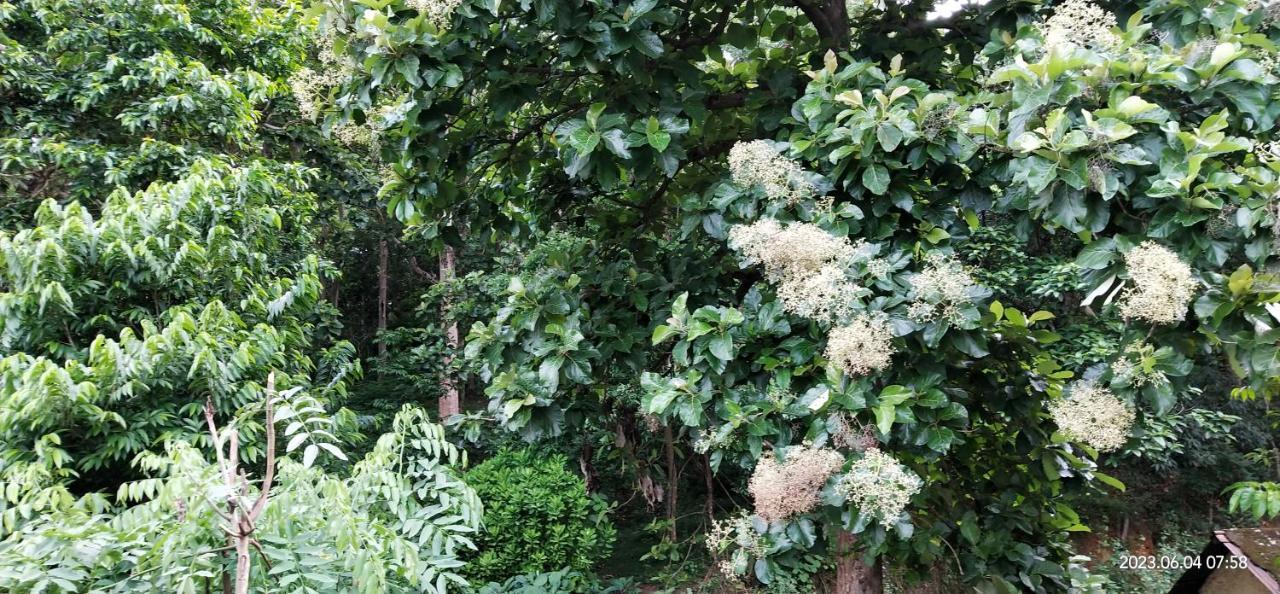 Floral Homestay Thekkady Zewnętrze zdjęcie