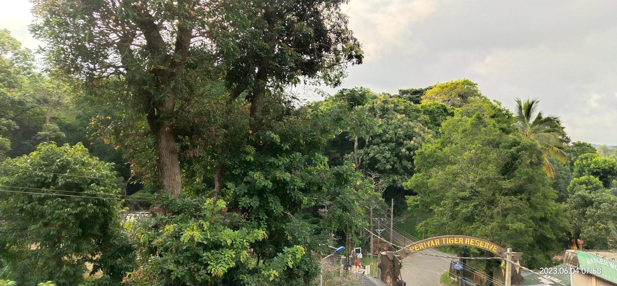 Floral Homestay Thekkady Zewnętrze zdjęcie